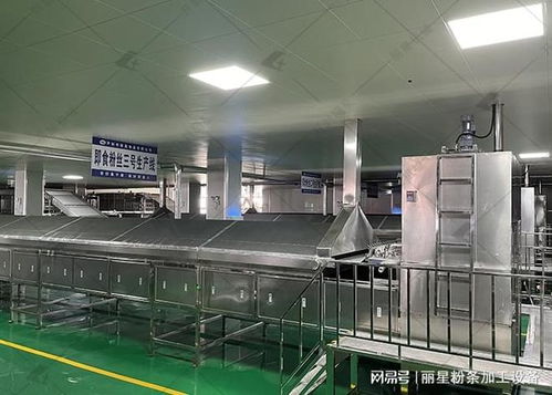 麗星桶裝粉絲粉餅生產(chǎn)設(shè)備 核心優(yōu)勢(shì)解析與規(guī)?；a(chǎn)落地實(shí)踐